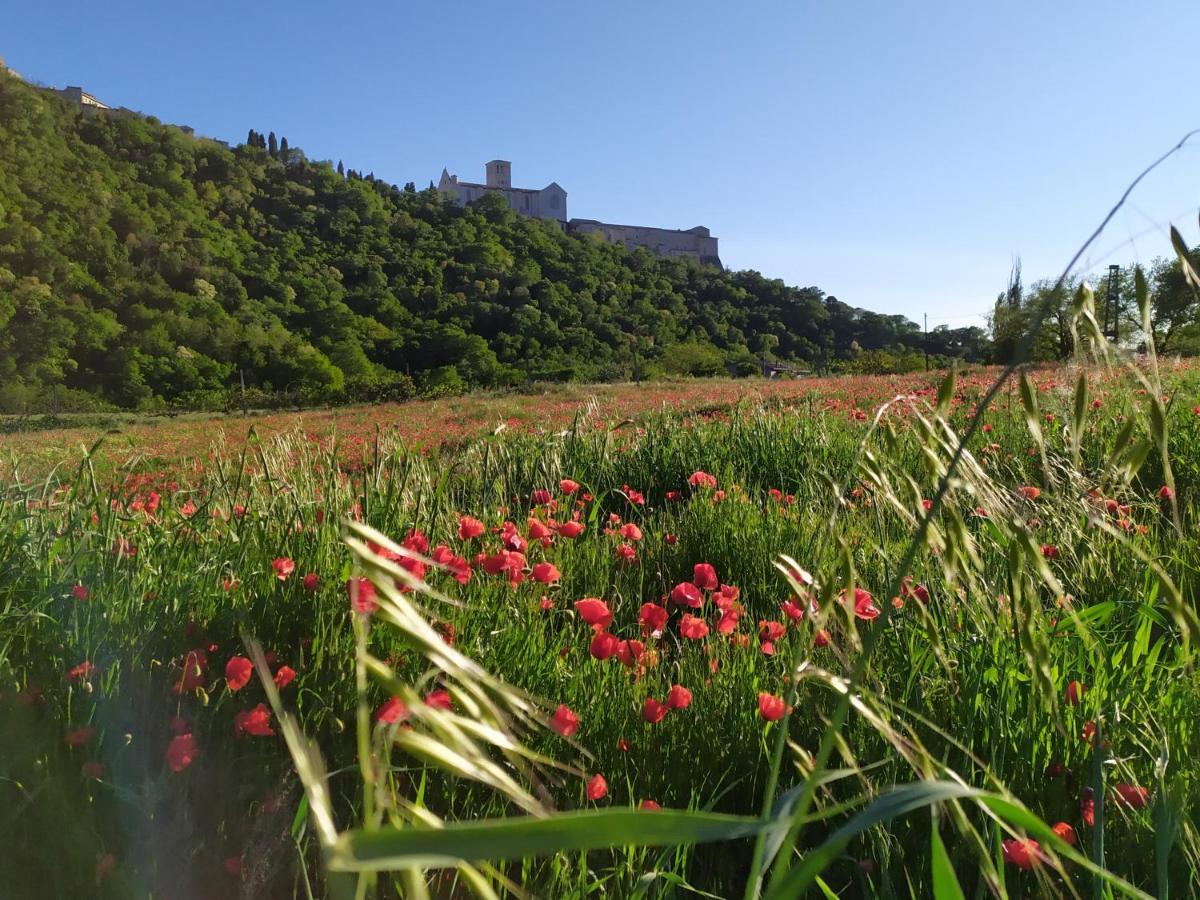 Camere Le Cascatelle Assisi Eksteriør billede