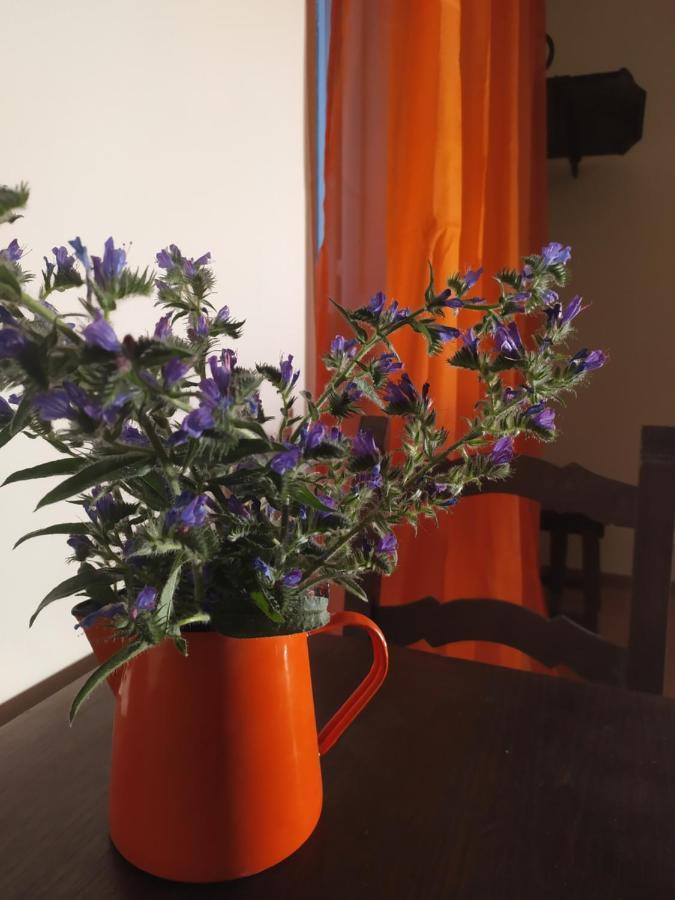 Camere Le Cascatelle Assisi Eksteriør billede